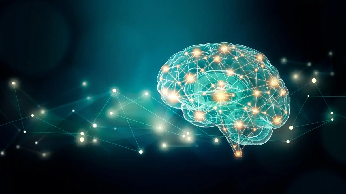 La coscienza cambia sede: il cervello svela nuove connessioni