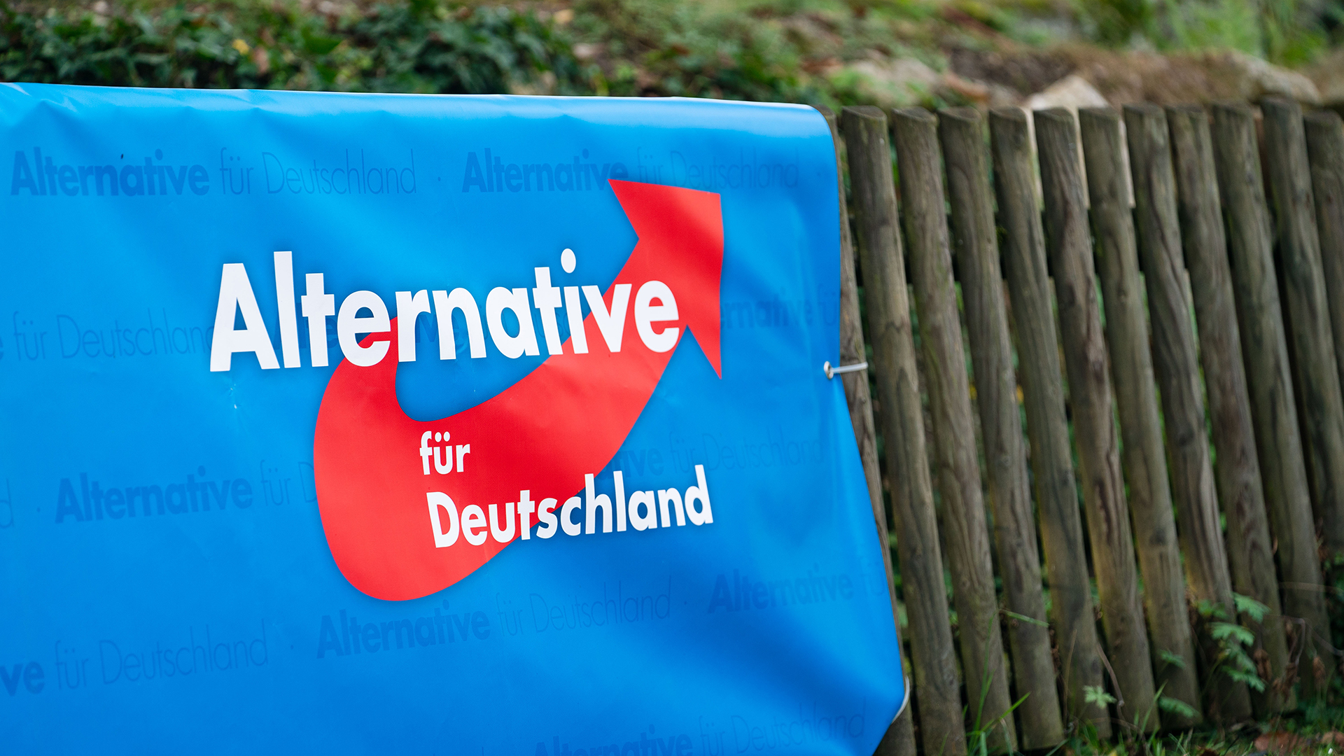 Sono stati gli 007 tedeschi a classificare Alternative für Deutschland forza di 'estrema destra conclamata'