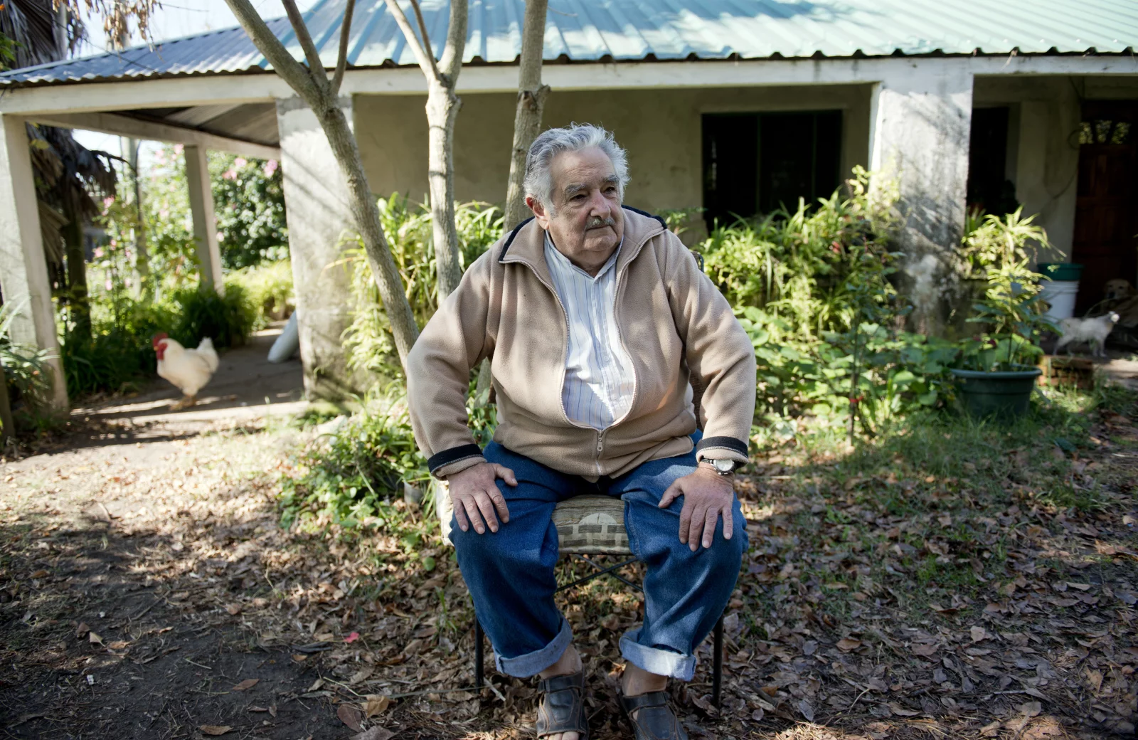 Addio a José Mujica: l'ex presidente dell'Uruguay vicino ai poveri è morto all'età di 89 anni