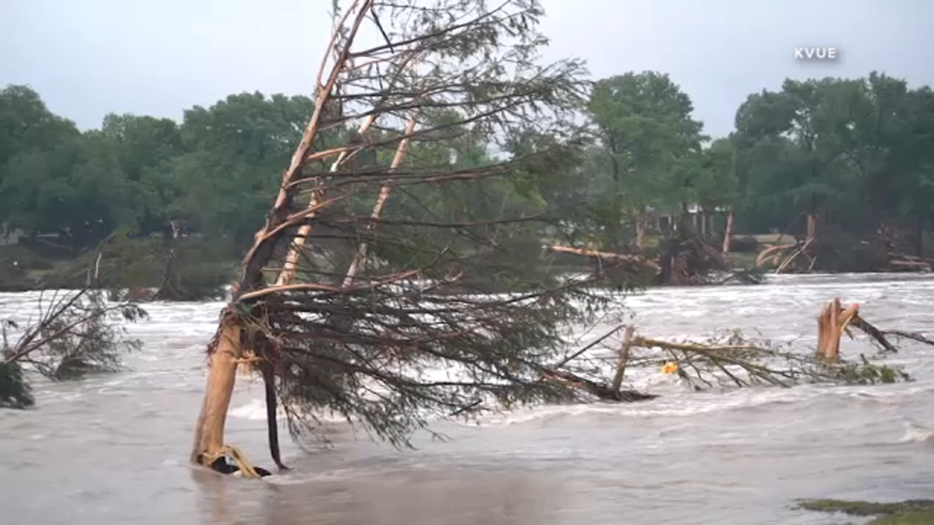 Il paradosso dell'America in mano ai negazionisti trumpiani: fare i conti con la tragedia climatica del Texas