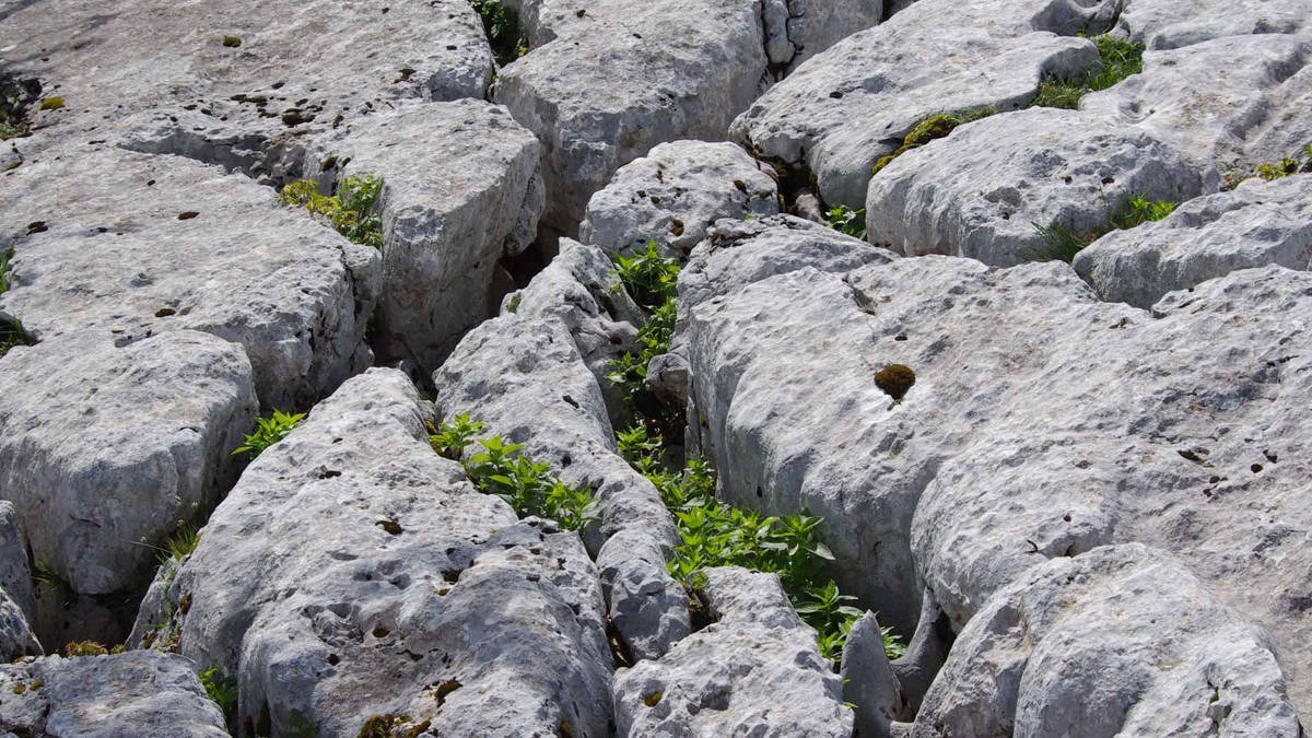 Antropocene pedologico: l'uomo è scultore inconsapevole del territorio. E non è un bene