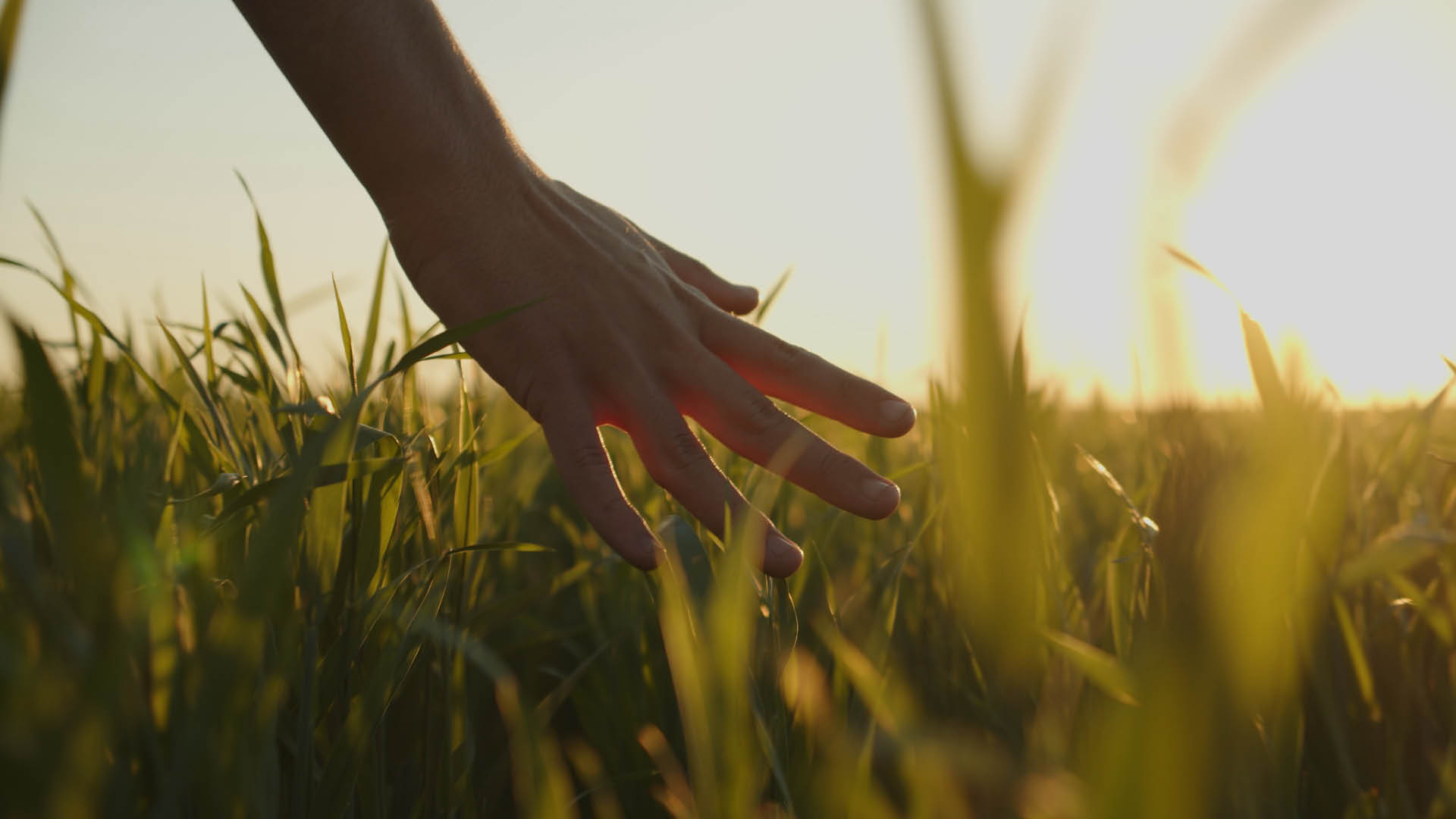Il potere è accoglienza e fedeltà ai principi: non alla corruzione, alle mafie o alla vanagloria