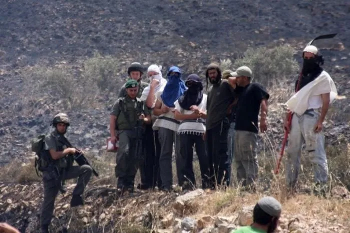 Cisgiordania: i coloni israeliani impediscono ai palestinesi di portare al pascolo il proprio bestiame Cisgiordania: i coloni israeliani impediscono ai palestinesi di portare al pascolo il proprio bestiame